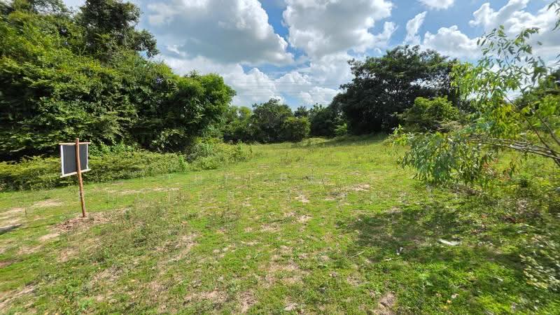 ที่ดินสีแก้ว ร้อยเอ็ด, Roi Et, Si Kaeo, Muang Roi Et, Roi Et, , 320 sqm, Land For Sale, by The Best Property ทองใบ, 500537234 - DDproperty.com
