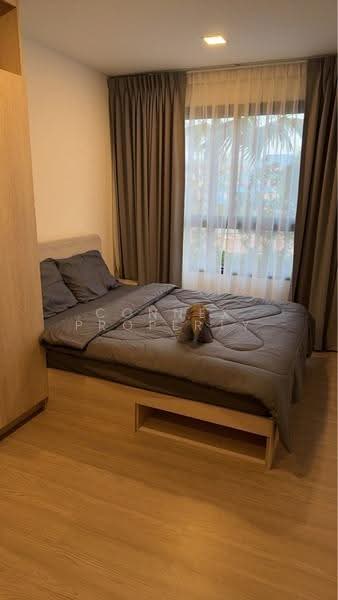 The Base Bukit Phuket, Phuket, 12 Vichitsongkram Rd, Wichit, Muang Phuket, Phuket, 1 Bedroom, 30 sqm, Condo For Rent, by Connex Property, 500537458 - DDproperty.com