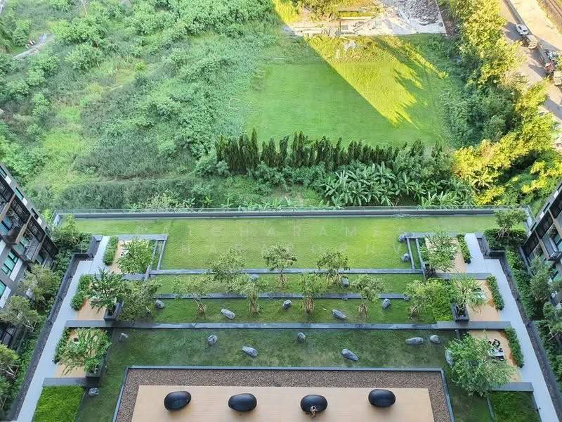 Life Asoke, Bangkok, Asoke-Dindang Road, Bang Kapi, Huai Khwang, Bangkok, 1 Bedroom, 36 sqm, Condo For Rent, by Patcharames Pattharapornviboon, 500537479 - DDproperty.com