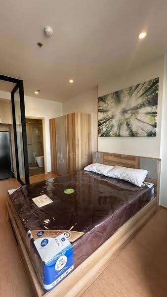 Maru Ekkamai 2, Bangkok, 70-5 Sukhumvit 63 Road, Phra Kanong Nua, Watthana, Bangkok, 1 Bedroom, 30 sqm, Condo For Rent, by Tongchompoo Pattanachaiwongkoon, 500537480 - DDproperty.com