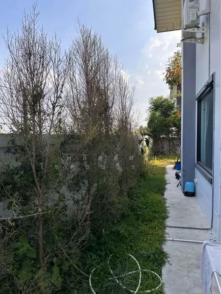 อยู่สะบาย, Nakhon Ratchasima, Cho Ho, Muang Nakhon Ratchasima, Nakhon Ratchasima, 6 Bedrooms, 400 sqm, Single Detached House For Rent, by พลิศภัสร์ โชคธนวีระกานต์, 500537734 - DDproperty.com