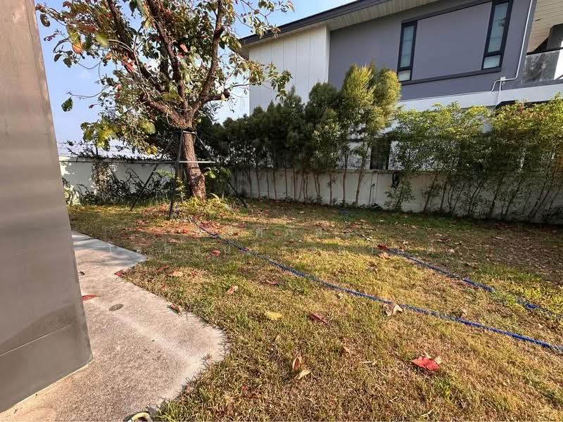 อยู่สะบาย, นครราชสีมา, จอหอ, เมืองนครราชสีมา, นครราชสีมา, 400 ตร.ม., บ้านเดี่ยว ให้เช่า, โดย พลิศภัสร์ โชคธนวีระกานต์, 500537734 - DDproperty.com