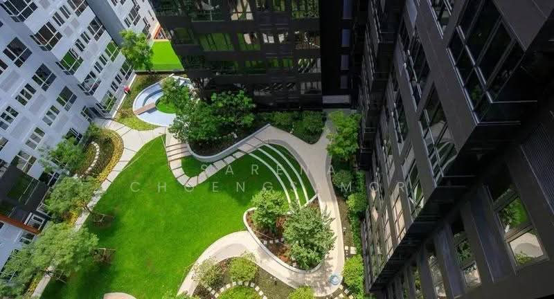 XT Huaikhwang, Bangkok, 244 Ratchadaphisek Road, Huai Khwang, Bangkok, 1 Bedroom, 36 sqm, Condo For Rent, by Sarena Choengsamor, 500537771 - DDproperty.com