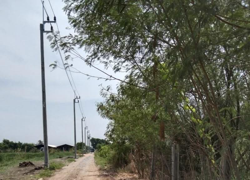 ขายที่ดิน 3 ไร่ ราคาต่ำกว่าตลาด ซ.ร่วมพัฒนา 15 ใกล้ขนส่งพื้นที่ 4 พื้นที่สีเขียว เหมาะสร้างบ้าน, กรุงเทพ, ร่วมพัฒนา, ลำต้อยติ่ง, หนองจอก, กรุงเทพ, 4,800 ตร.ม., ที่ดิน ขาย, โดย บุษบา รัตนวงษ์ชัย, 500537863 - DDproperty.com