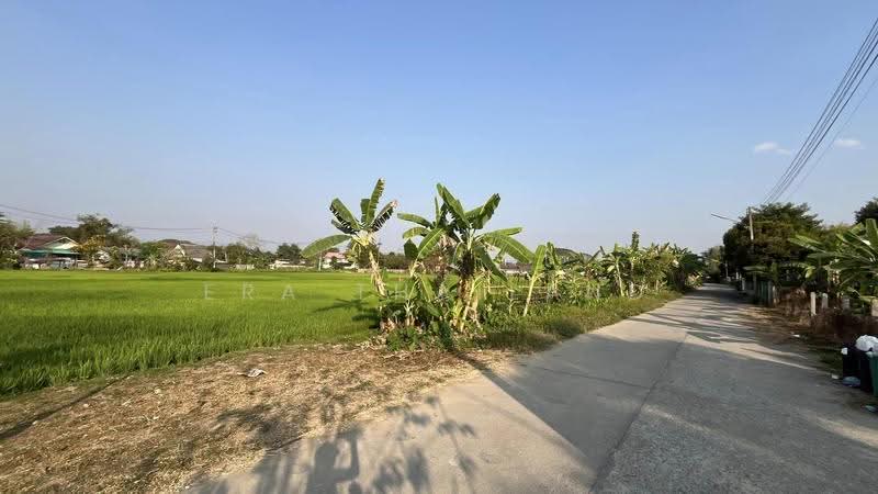 ขายหอพัก 2 ชั้น และบ้าน 1 หลัง พร้อมที่ดินผืนใหญ่ 2 งาน 35 ตร.วา ต.ริมกก อ.เมืองเชียงราย, chiang-rai, Rim Kok, Muang Chiang Rai, Chiang Rai, , 528 sqm, Business For Sale, by ERA Thailand, 500537876 - DDproperty.com
