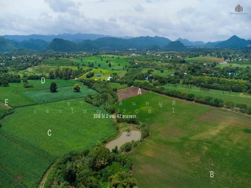 ขายที่ดินหมูสี เขาใหญ่ 208 ไร่ ปากช่อง, Nakhon Ratchasima, Mu Si, Pak Chong, Nakhon Ratchasima, , 333,768 sqm, Land For Sale, by คุณเอ็มมี่, 500537923 - DDproperty.com