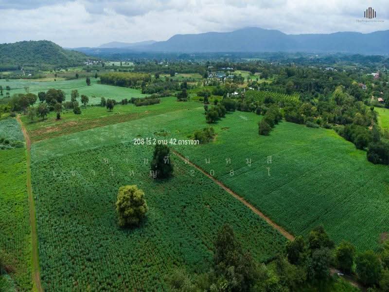 ขายที่ดินหมูสี เขาใหญ่ 208 ไร่ ปากช่อง, Nakhon Ratchasima, Mu Si, Pak Chong, Nakhon Ratchasima, , 333,768 sqm, Land For Sale, by คุณเอ็มมี่, 500537923 - DDproperty.com