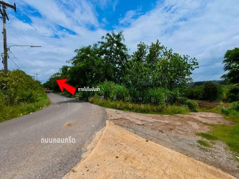 ขายที่ดินหมูสี เขาใหญ่ 208 ไร่ ปากช่อง, Nakhon Ratchasima, Mu Si, Pak Chong, Nakhon Ratchasima, , 333,768 sqm, Land For Sale, by คุณเอ็มมี่, 500537923 - DDproperty.com