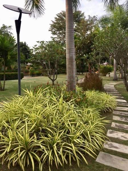 Casa Seaside Cha-Am, Phetchaburi, 819 Phetkasem Road (Bo Khaem), Cha-am, Cha-Am, Phetchaburi, 2 Bedrooms, 93 sqm, Single Detached House For Sale, by Kanin Thangpanyawa, 500538039 - DDproperty.com