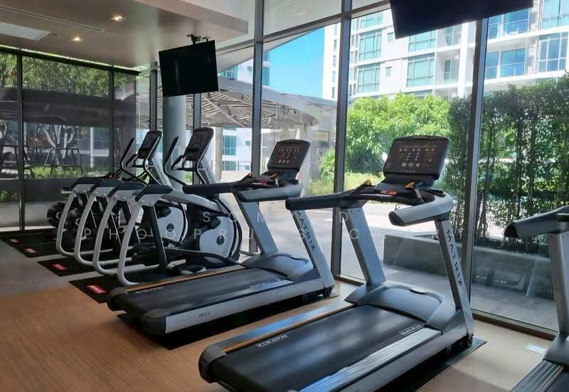Supalai Oriental Sukhumvit 39 : ศุภาลัย โอเรียนทัล สุขุมวิท 39, กรุงเทพ, ซอย สุขุมวิท 39, คลองตันเหนือ, วัฒนา, กรุงเทพ, 39 ตร.ม., คอนโด ให้เช่า, โดย Somrad Phoopruksachart, 500538137 - DDproperty.com