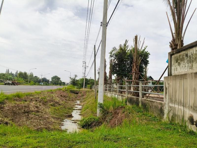 ที่ดินบุรีรัมย์, Buri Ram, Prakhon Chai, Buri Ram, 1 Bedroom, 200 sqm, Single Detached House For Sale, by The Best Property ยุ, 500538271 - DDproperty.com