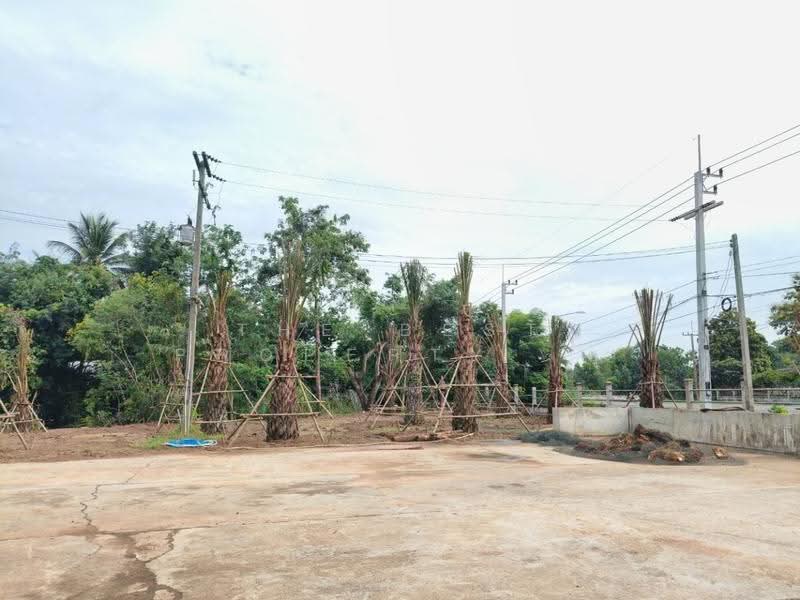 ที่ดินบุรีรัมย์, บุรีรัมย์, ประโคนชัย, บุรีรัมย์, 200 ตร.ม., บ้านเดี่ยว ขาย, โดย The Best Property ยุ, 500538271 - DDproperty.com