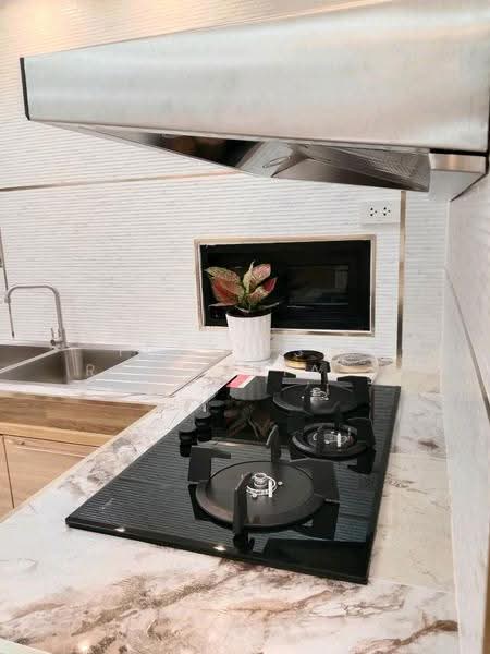 ขาย/เช่า บ้านสุขุมวิท ติดรถไฟฟ้า BTS ( Sukumvit road / soi 68), Bangkok, Bang Na Nuea, Bang Na, Bangkok, 4 Bedrooms, 190 sqm, Townhouse For Rent, by Forty-Six Real Estate Group, 500538286 - DDproperty.com