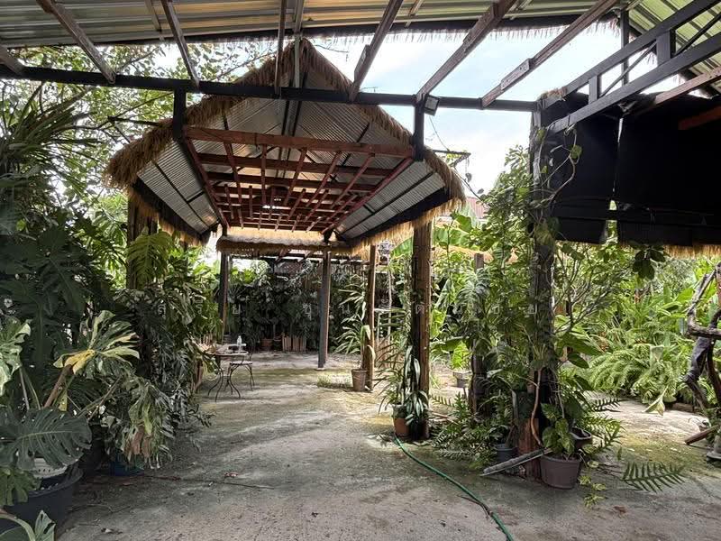 ขายที่ดิน 83 ตร.ว. 15 x 22 เมตร ถ.แกลง-บ้านบึง ต.บ้านบึง อ.บ้านบึง จ.ชลบุรี เข้าซอยโชคดีประมาณ 50, Chon Buri (Pattaya), แกลง-บ้านบึง, Ban Bung, Chon Buri (Pattaya), , 332 sqm, Land For Sale, by สุรีย์ ชุนรัตนชัย, 500538378 - DDproperty.com