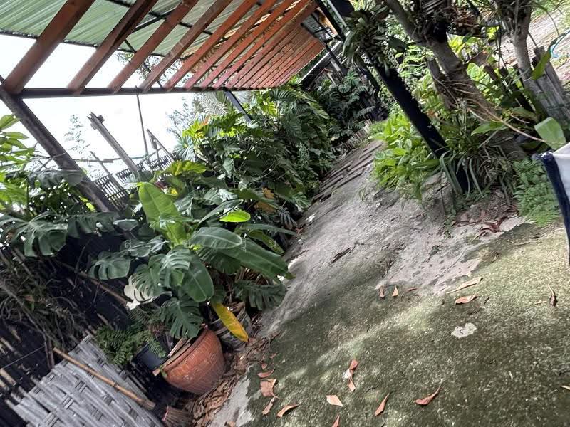 ขายที่ดิน 83 ตร.ว. 15 x 22 เมตร ถ.แกลง-บ้านบึง ต.บ้านบึง อ.บ้านบึง จ.ชลบุรี เข้าซอยโชคดีประมาณ 50, Chon Buri (Pattaya), แกลง-บ้านบึง, Ban Bung, Chon Buri (Pattaya), , 332 sqm, Land For Sale, by สุรีย์ ชุนรัตนชัย, 500538378 - DDproperty.com
