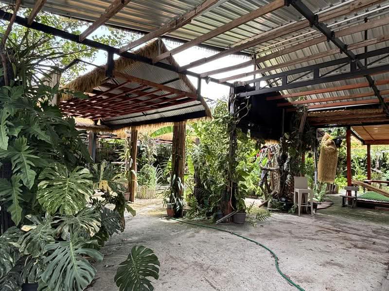 ขายที่ดิน 83 ตร.ว. 15 x 22 เมตร ถ.แกลง-บ้านบึง ต.บ้านบึง อ.บ้านบึง จ.ชลบุรี เข้าซอยโชคดีประมาณ 50, Chon Buri (Pattaya), แกลง-บ้านบึง, Ban Bung, Chon Buri (Pattaya), , 332 sqm, Land For Sale, by สุรีย์ ชุนรัตนชัย, 500538378 - DDproperty.com