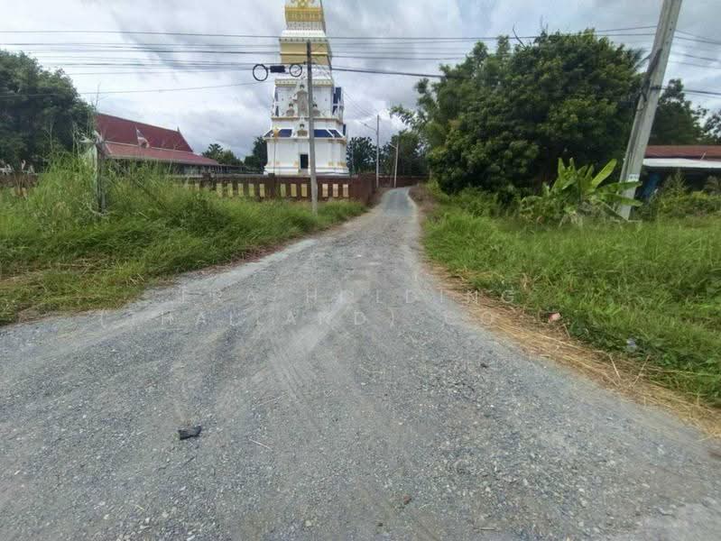 ซื้อแล้วมีรายได้เลย! สวนมะพร้าวน้ำหอม, Suphan Buri, Phapphachai, U Thong, Suphan Buri, , 135,052 sqm, Land For Sale, by ERA Holding (Thailand) Co., Ltd., 500539733 - DDproperty.com