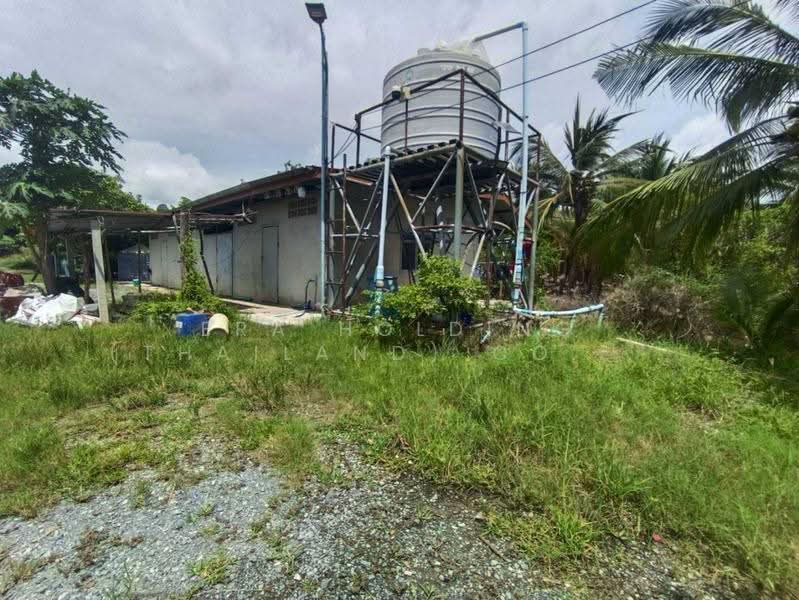 ซื้อแล้วมีรายได้เลย! สวนมะพร้าวน้ำหอม, Suphan Buri, Phapphachai, U Thong, Suphan Buri, , 135,052 sqm, Land For Sale, by ERA Holding (Thailand) Co., Ltd., 500539733 - DDproperty.com