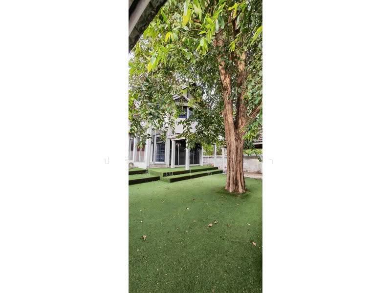 House Kaset - Ngamwongwan, Bangkok, Thung Song Hong, Lak Si, Bangkok, 5 Bedrooms, 250 sqm, Single Detached House For Rent, by ปรินทร์ญาดา ชิณโชติ, 500539739 - DDproperty.com