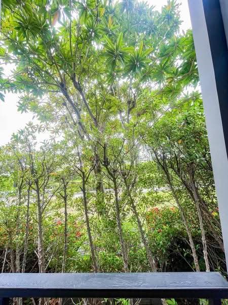 Supalai Loft @ Talat Phlu Station, Bangkok, Ratchadaphisek Road, Talat Plu, Thon Buri, Bangkok, 1 Bedroom, 41 sqm, Condo For Sale, by Pavadee Boonyarith, 500539746 - DDproperty.com