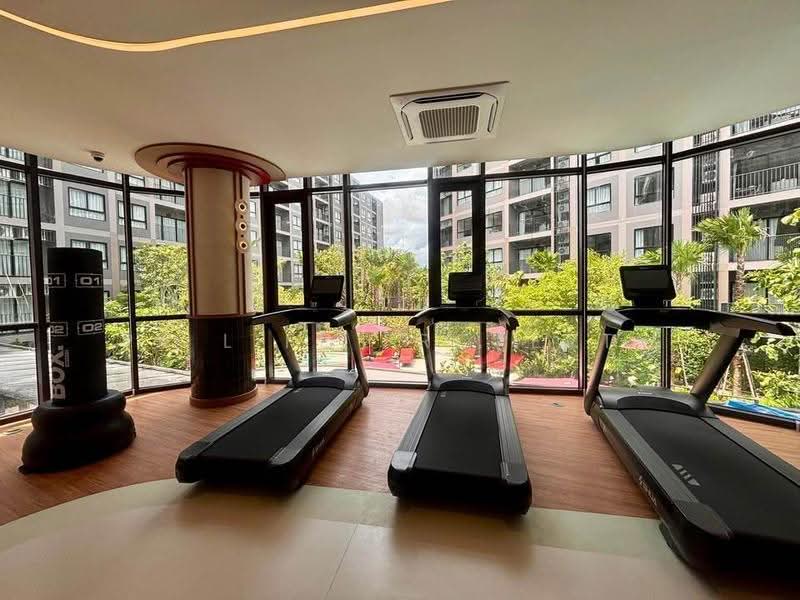 THE Base Cherngtalay, Phuket, Choeng Thale, Thalang, Phuket, 2 Bedrooms, 65 sqm, Condo For Rent, by PK LIFE Property, 500539748 - DDproperty.com