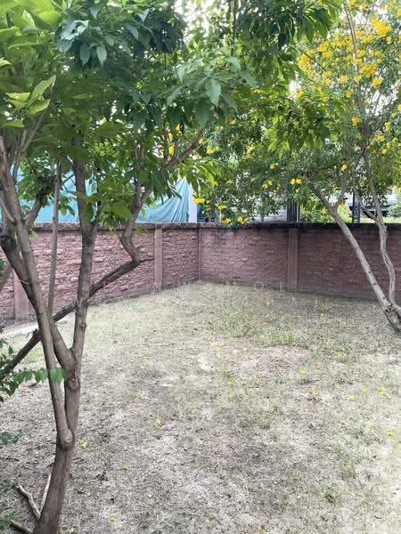 Passorn Prestige Pattanakarn 38, Bangkok, Soi Phatthanakan 38, Suan Luang, Bangkok, 3 Bedrooms, 125 sqm, Single Detached House For Rent, by Ponwimol Wipanarapai, 500540148 - DDproperty.com