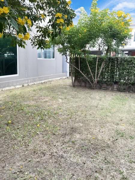Passorn Prestige Pattanakarn 38, Bangkok, Soi Phatthanakan 38, Suan Luang, Bangkok, 3 Bedrooms, 125 sqm, Single Detached House For Rent, by Ponwimol Wipanarapai, 500540148 - DDproperty.com
