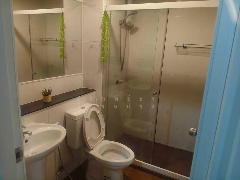 Regent Home Sukhumvit 81, Bangkok, Soi Sukhumvit 81, Suan Luang, Bangkok, 1 Bedroom, 28 sqm, Condo For Rent, by ศิรินทร์ธร โรจนบวร, 500540235 - DDproperty.com