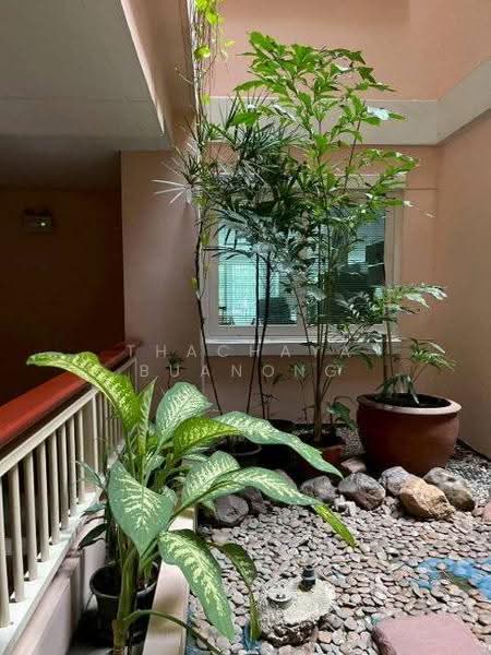 Baan Siri Sukhumvit 13, Bangkok, Soi Sukhumvit 13, Khlongtoei Nua, Watthana, Bangkok, 1 Bedroom, 57 sqm, Condo For Rent, by Thachaya Buanong, 500540256 - DDproperty.com