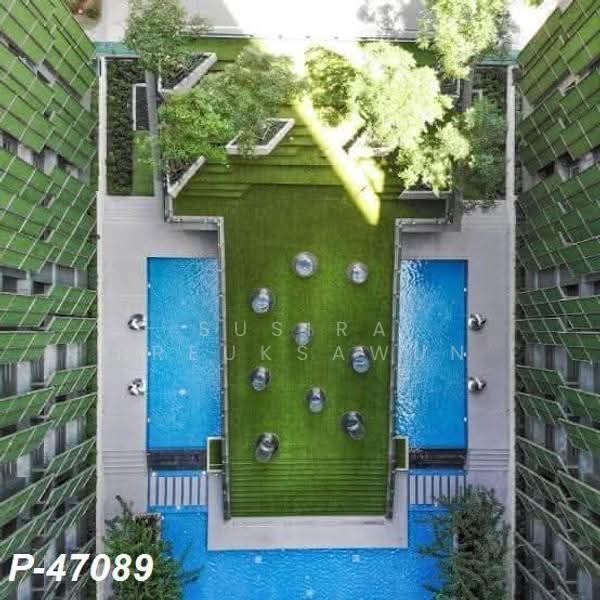 Wish Signature Midtown Siam : วิช ซิกเนเจอร์ มิดทาวน์ สยาม, กรุงเทพ, 512 เพชรบุรี, ถนนเพชรบุรี, ราชเทวี, กรุงเทพ, 34 ตร.ม., คอนโด ให้เช่า, โดย Susira Preuksawun, 500540286 - DDproperty.com