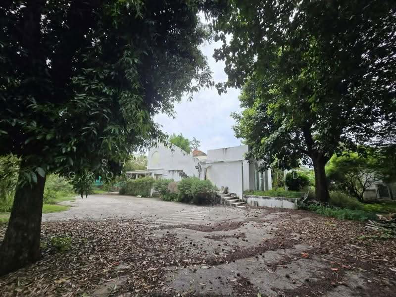ขายที่ดินสุเทพ, เชียงใหม่, สุเทพ, เมืองเชียงใหม่, เชียงใหม่, 1,464 ตร.ม., ที่ดิน ขาย, โดย Shori Asset Group Co., Ltd., 500540362 - DDproperty.com