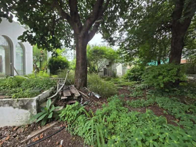 ขายที่ดินสุเทพ, เชียงใหม่, สุเทพ, เมืองเชียงใหม่, เชียงใหม่, 1,464 ตร.ม., ที่ดิน ขาย, โดย Shori Asset Group Co., Ltd., 500540362 - DDproperty.com