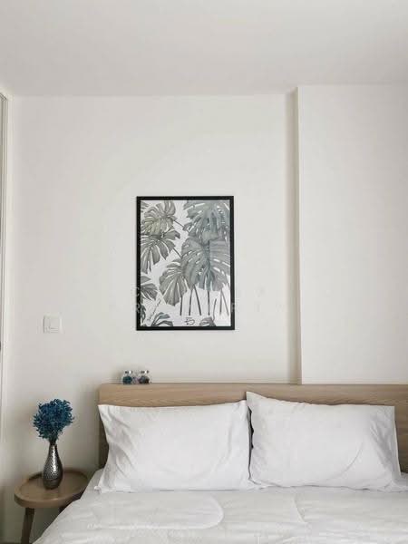 Chambers On-Nut Station, Bangkok, Soi Sukhumvit 81, Sukhumvit Road, Phra Kanong Nua, Watthana, Bangkok, 1 Bedroom, 27 sqm, Condo For Rent, by Connex Property, 500541315 - DDproperty.com