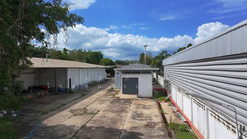 โชคชัย, Nakhon Ratchasima, Chok Chai, Chok Chai, Nakhon Ratchasima, , 8,000 sqm, Land For Rent, by พลิศภัสร์ โชคธนวีระกานต์, 500541332 - DDproperty.com