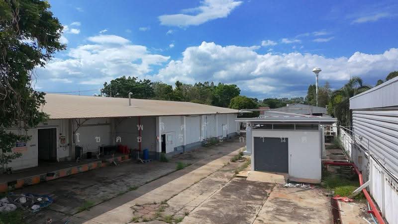 โชคชัย, Nakhon Ratchasima, Chok Chai, Chok Chai, Nakhon Ratchasima, , 8,000 sqm, Land For Rent, by พลิศภัสร์ โชคธนวีระกานต์, 500541332 - DDproperty.com