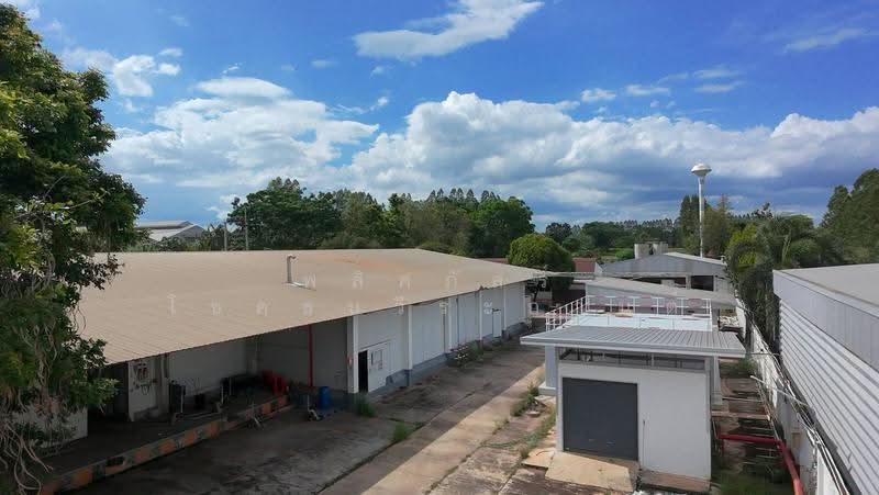 โชคชัย, Nakhon Ratchasima, Chok Chai, Chok Chai, Nakhon Ratchasima, , 8,000 sqm, Land For Rent, by พลิศภัสร์ โชคธนวีระกานต์, 500541332 - DDproperty.com