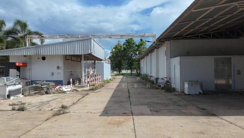 โชคชัย, Nakhon Ratchasima, Chok Chai, Chok Chai, Nakhon Ratchasima, , 8,000 sqm, Land For Rent, by พลิศภัสร์ โชคธนวีระกานต์, 500541332 - DDproperty.com