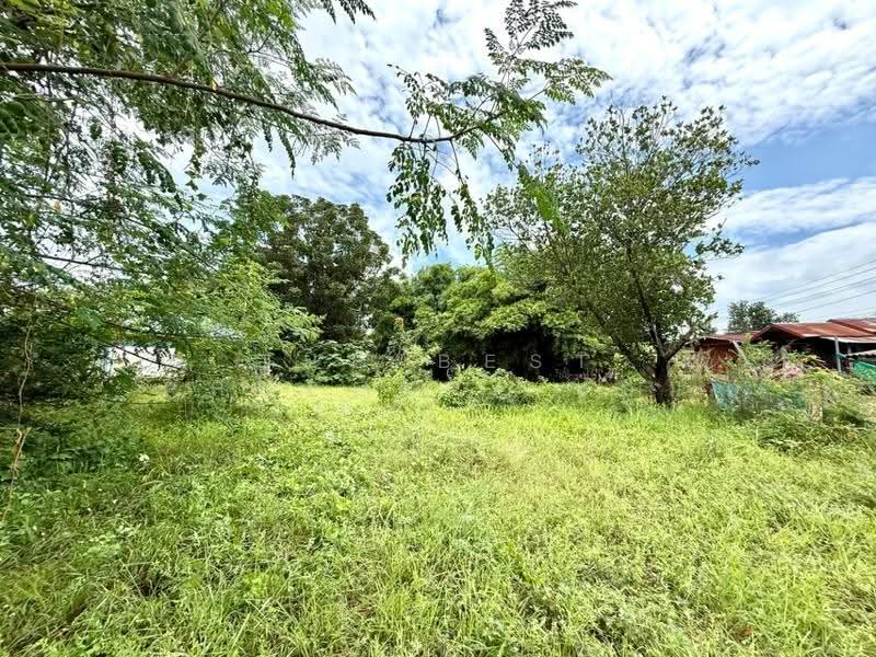 ที่ดินโคกเจริญ ลพบุรี, Lop Buri, Khok Charoen, Lop Buri, , 1,220 sqm, Land For Sale, by The Best Property แอม, 500541559 - DDproperty.com