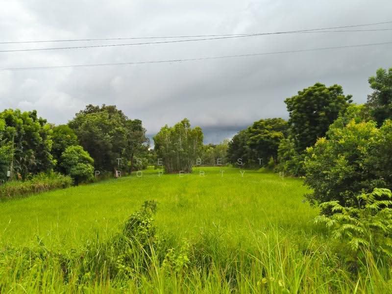 ที่ดินธัญบุรี ปทุมธานี, Roi Et, Ma-u, Thawat Buri, Roi Et, , 5,920 sqm, Land For Sale, by The Best Property ยุ, 500541560 - DDproperty.com