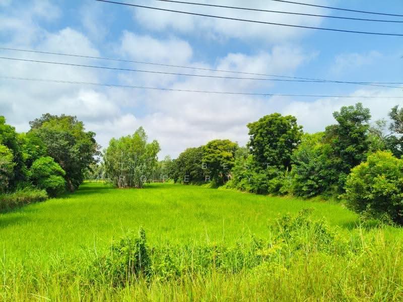 ที่ดินธัญบุรี ปทุมธานี, Roi Et, Ma-u, Thawat Buri, Roi Et, , 5,920 sqm, Land For Sale, by The Best Property ยุ, 500541560 - DDproperty.com