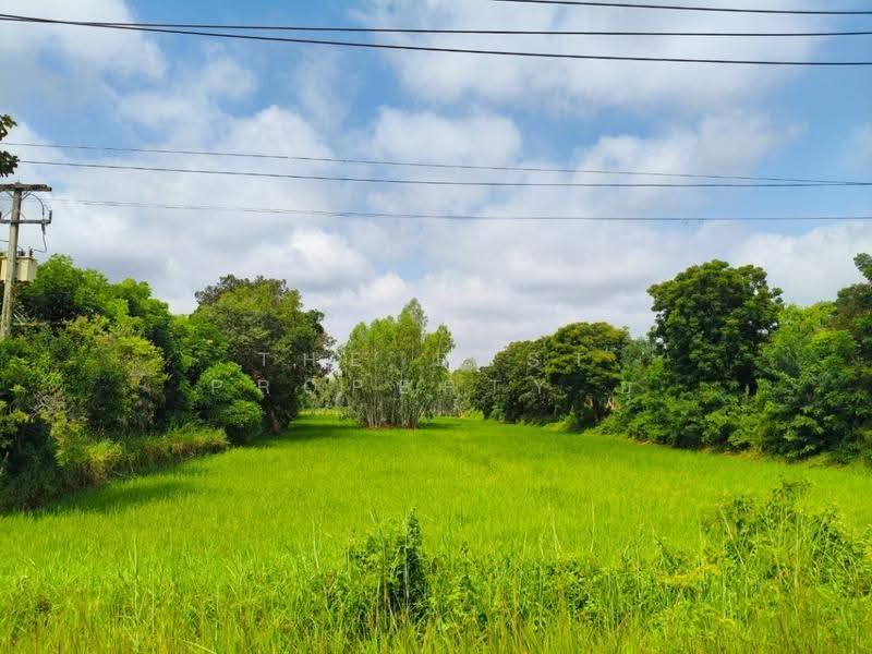 ที่ดินธัญบุรี ปทุมธานี, Roi Et, Ma-u, Thawat Buri, Roi Et, , 5,920 sqm, Land For Sale, by The Best Property ยุ, 500541560 - DDproperty.com