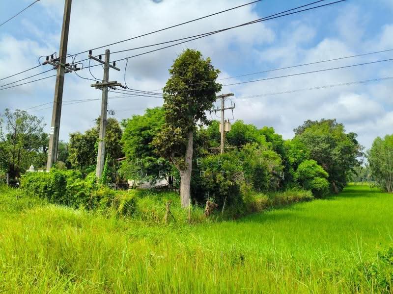 ที่ดินธัญบุรี ปทุมธานี, Roi Et, Ma-u, Thawat Buri, Roi Et, , 5,920 sqm, Land For Sale, by The Best Property ยุ, 500541560 - DDproperty.com