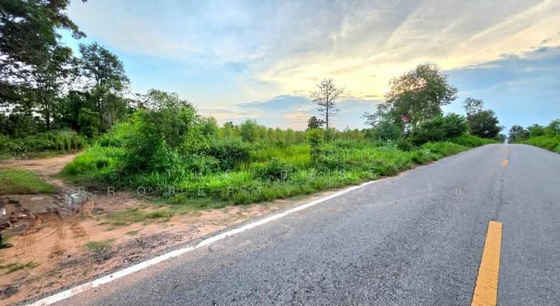 ที่ดินบรบือ มหาสารคาม, Maha Sarakham, Bo Yai, Borabu, Maha Sarakham, , 6,648 sqm, Land For Sale, by The Best Property ทองใบ, 500541562 - DDproperty.com