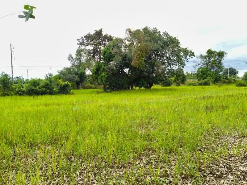 ที่ดินธวัชบุรี ร้อยเอ็ด, ร้อยเอ็ด, มะอึ, ธวัชบุรี, ร้อยเอ็ด, 5,600 ตร.ม., ที่ดิน ขาย, โดย The Best Property ยุ, 500541570 - DDproperty.com