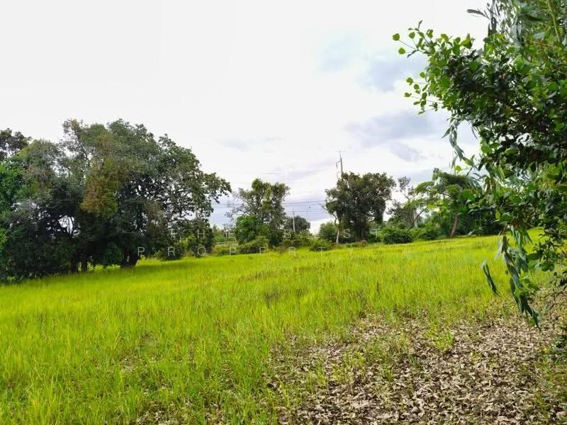 ที่ดินธวัชบุรี ร้อยเอ็ด, ร้อยเอ็ด, มะอึ, ธวัชบุรี, ร้อยเอ็ด, 5,600 ตร.ม., ที่ดิน ขาย, โดย The Best Property ยุ, 500541570 - DDproperty.com