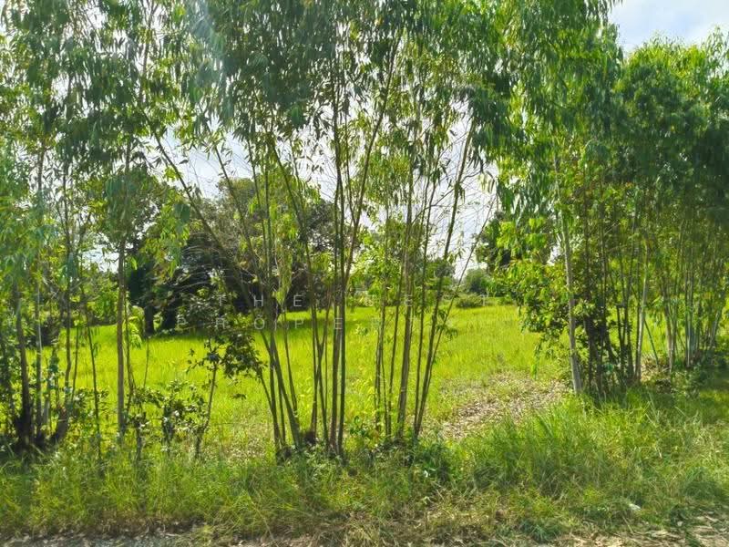 ที่ดินธวัชบุรี ร้อยเอ็ด, ร้อยเอ็ด, มะอึ, ธวัชบุรี, ร้อยเอ็ด, 5,600 ตร.ม., ที่ดิน ขาย, โดย The Best Property ยุ, 500541570 - DDproperty.com