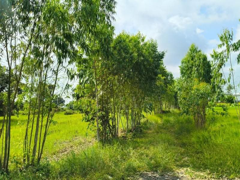 ที่ดินธวัชบุรี ร้อยเอ็ด, Roi Et, Ma-u, Thawat Buri, Roi Et, , 5,600 sqm, Land For Sale, by The Best Property ยุ, 500541570 - DDproperty.com