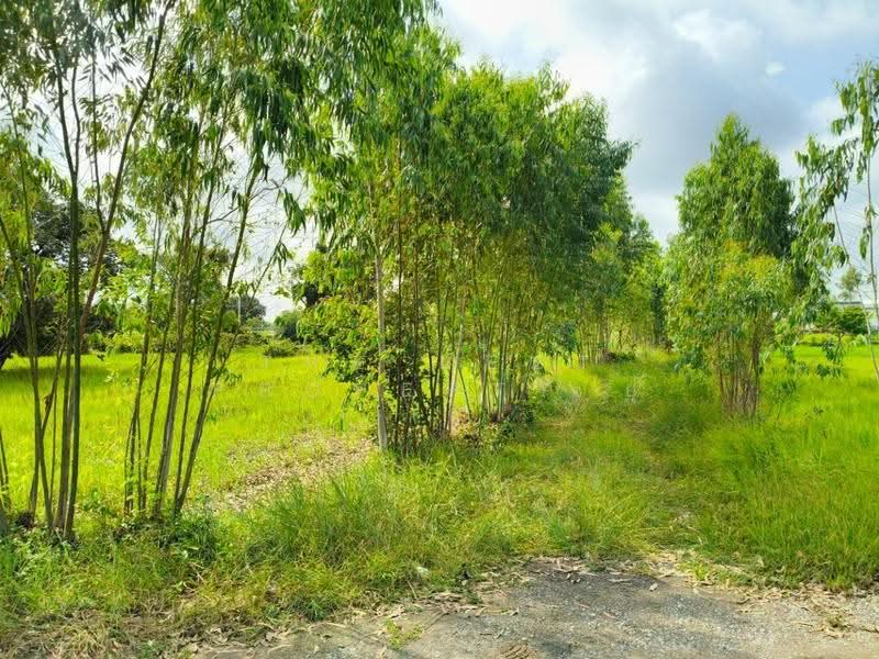 ที่ดินธวัชบุรี ร้อยเอ็ด, ร้อยเอ็ด, มะอึ, ธวัชบุรี, ร้อยเอ็ด, 5,600 ตร.ม., ที่ดิน ขาย, โดย The Best Property ยุ, 500541570 - DDproperty.com