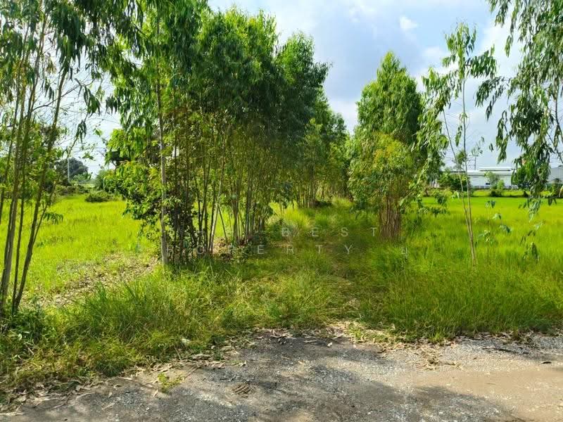 ที่ดินธวัชบุรี ร้อยเอ็ด, ร้อยเอ็ด, มะอึ, ธวัชบุรี, ร้อยเอ็ด, 5,600 ตร.ม., ที่ดิน ขาย, โดย The Best Property ยุ, 500541570 - DDproperty.com