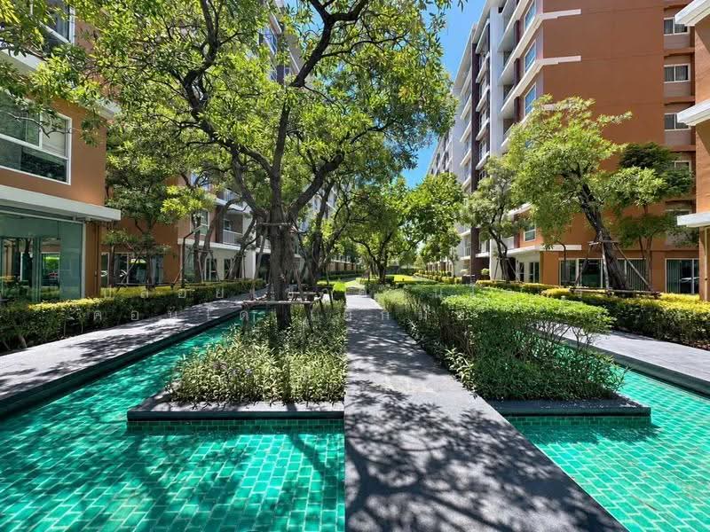 We Condo Ekkamai-Ramindra, Bangkok, Pradit Manutham Road, Tha Rang, Bang Khen, Bangkok, 1 Bedroom, 33 sqm, Condo For Rent, by คุณอั้ม, 500542095 - DDproperty.com